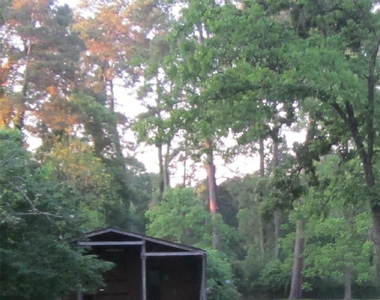 4018 E Mossy Oaks Road - Photo Thumbnail 10