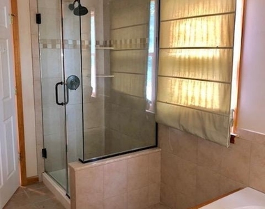 223 Lewis Street - Photo Thumbnail 8