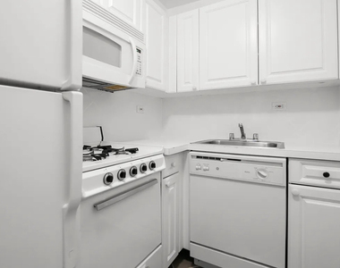 340 East 51st Street, Unit 005f - Photo Thumbnail 5