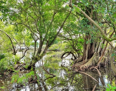 2515 Royal Palm Court - Photo Thumbnail 27