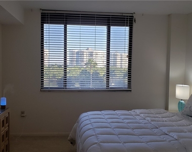 15 Bluebill Avenue - Photo Thumbnail 9