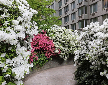 333 East 56th Street, Unit 10o - Photo Thumbnail 4