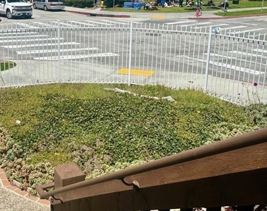 8151 Camino Del Oro - Photo Thumbnail 1