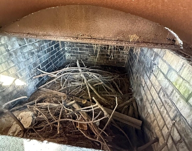 7325 Ley Road - Photo Thumbnail 44