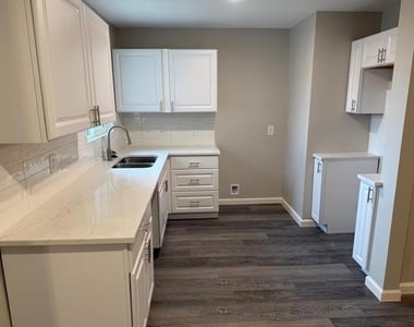 925 Bluewood Drive - Photo Thumbnail 24