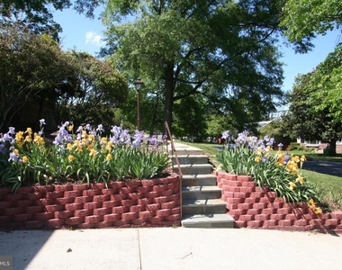 10104 Towhee Avenue - Photo Thumbnail 64