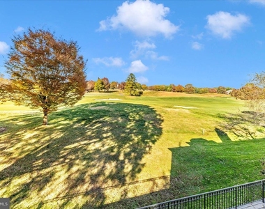 9723 Beman Woods Way - Photo Thumbnail 49