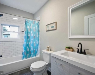 14 Sewell Street - Photo Thumbnail 5