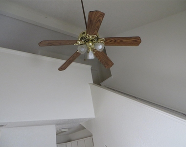 2217 Katy Ln - Photo Thumbnail 10