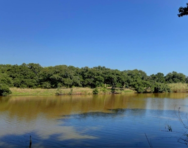 2746 Shady Creek Lane - Photo Thumbnail 13
