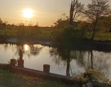 17 Higginsville Lane - Photo Thumbnail 45