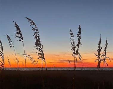 1290 Gulf Boulevard - Photo Thumbnail 28