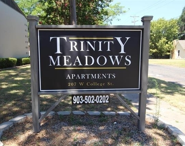 207 W College Street - Photo Thumbnail 1