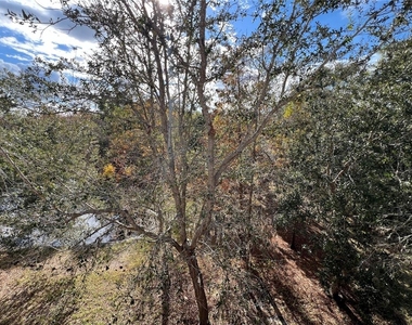7350 Black Walnut Way - Photo Thumbnail 50