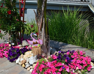 900 Ocean Avenue - Photo Thumbnail 13