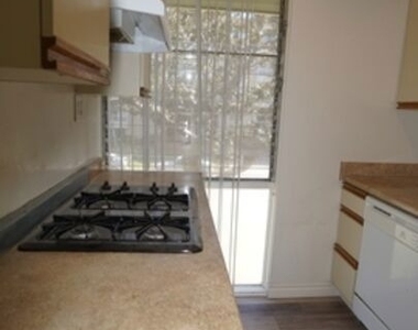 11133 Rose Avenue - Photo Thumbnail 14