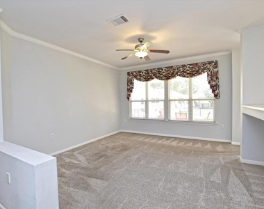 117 Beautybush Trl - Photo Thumbnail 28