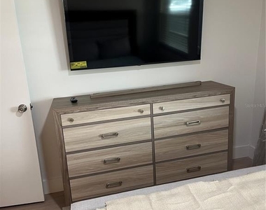 1028 Apollo Beach Boulevard - Photo Thumbnail 14