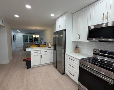 1028 Apollo Beach Boulevard - Photo Thumbnail 4