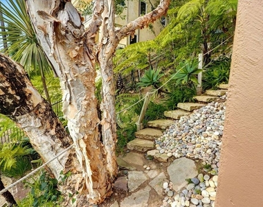 3916 Rambla Orienta - Photo Thumbnail 46