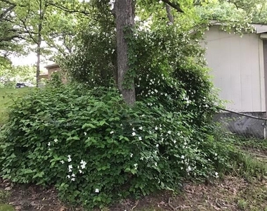 5320 Loma Vista - Photo Thumbnail 13