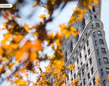 143 W 30th Street - Photo Thumbnail 11