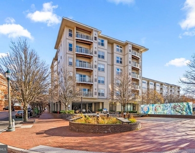 8045 Newell Street - Photo Thumbnail 19