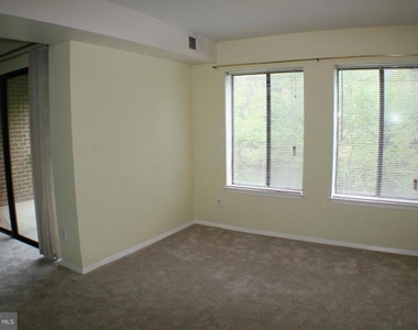 5817 Edson Lane - Photo Thumbnail 14