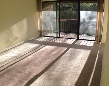 5817 Edson Lane - Photo Thumbnail 13
