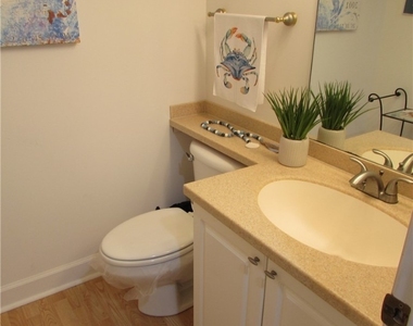 5371 Blue Crab Circle - Photo Thumbnail 38