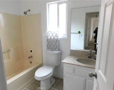 8260 Viburnum - Photo Thumbnail 10