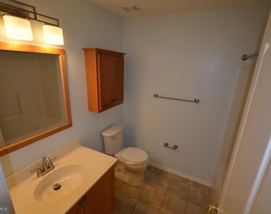 20327 Mallory Court - Photo Thumbnail 17