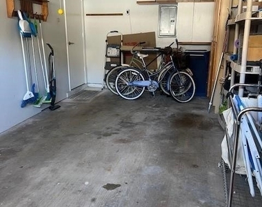 800 Meadowland Drive - Photo Thumbnail 19