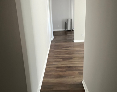 146 George Street - Photo Thumbnail 6