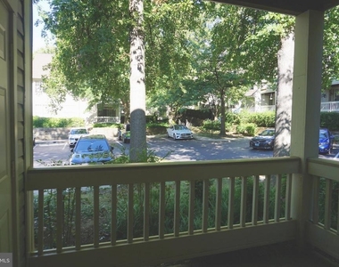 10824 Antigua Terrace - Photo Thumbnail 21