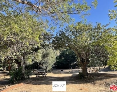 41322 De Luz Road - Photo Thumbnail 8