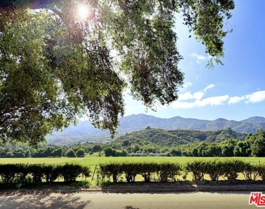 41322 De Luz Road - Photo Thumbnail 18