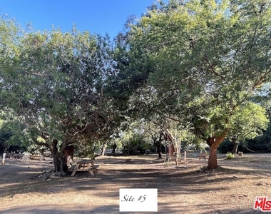 41322 De Luz Road - Photo Thumbnail 5