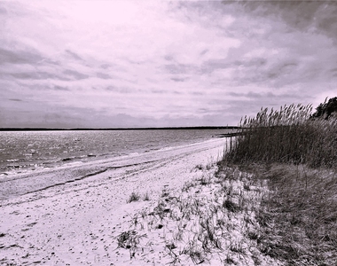 1000 Rambler Road - Photo Thumbnail 23