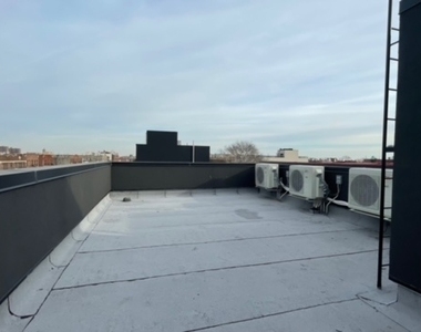 237 Utica Avenue - Photo Thumbnail 25