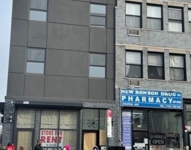 237 Utica Avenue - Photo Thumbnail 32