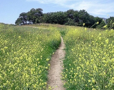 272 N Topanga - Photo Thumbnail 20
