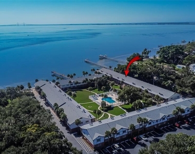 650 Pinellas Point Drive S - Photo Thumbnail 36
