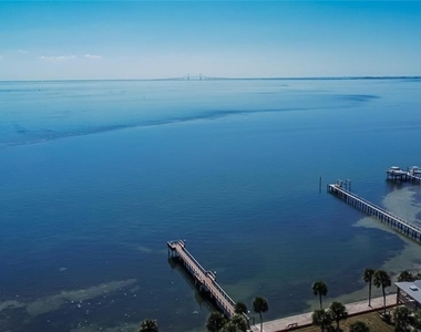 650 Pinellas Point Drive S - Photo Thumbnail 42