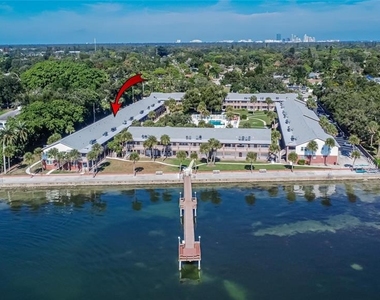 650 Pinellas Point Drive S - Photo Thumbnail 40