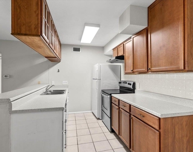 910 Duncan Ln - Photo Thumbnail 8
