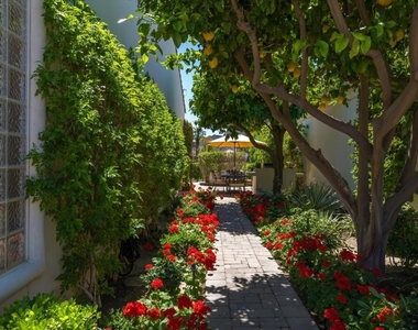 79365 Mandarina - Photo Thumbnail 43
