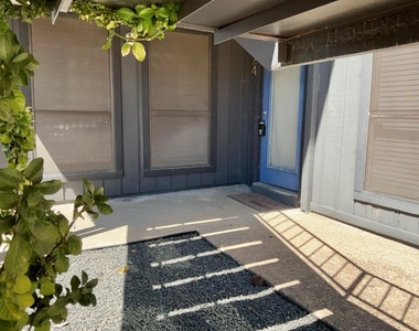 909 Reinli St - Photo Thumbnail 11