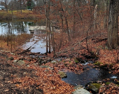 461 Route 199 - Photo Thumbnail 28