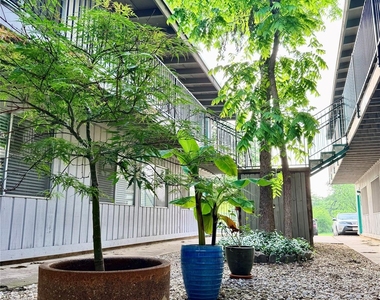3011 Whitis Ave - Photo Thumbnail 5